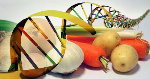 ADN: O futuro da nutrição