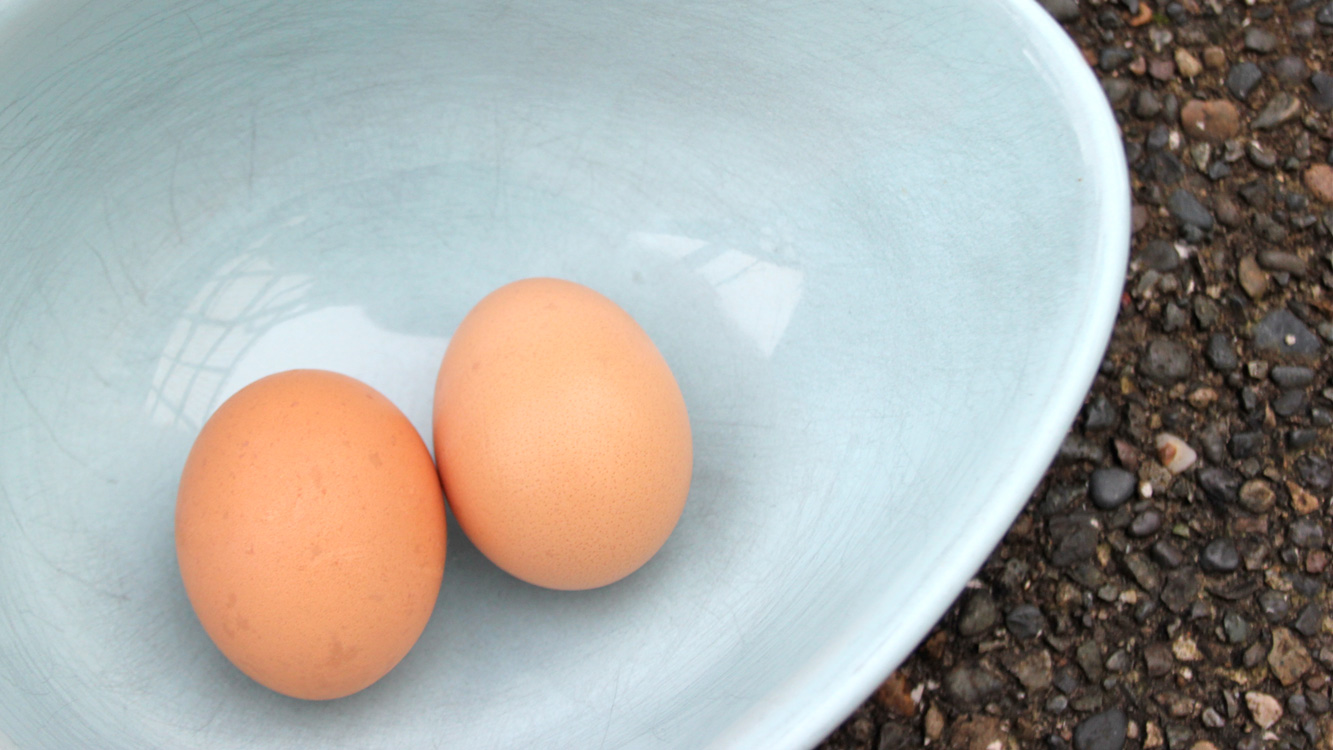 7 coisas que acontecem no corpo de quem come dois ovos por dia