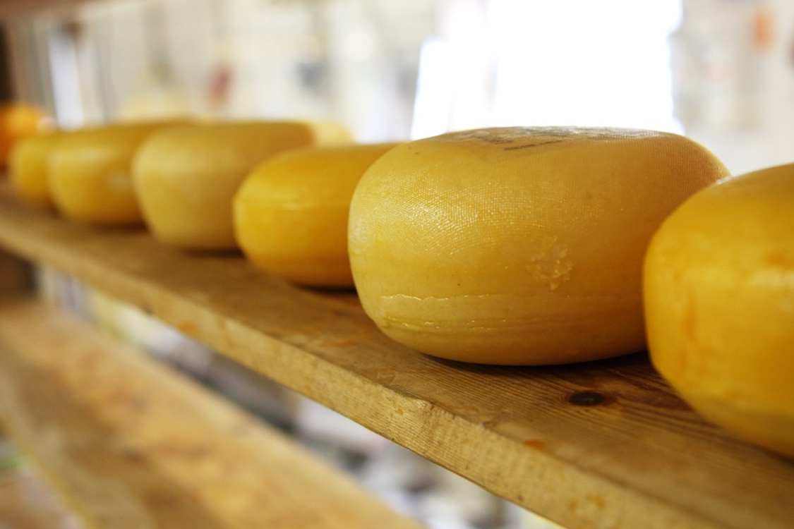 Excelentes notícias: comer queijo faz bem ao colesterol!
