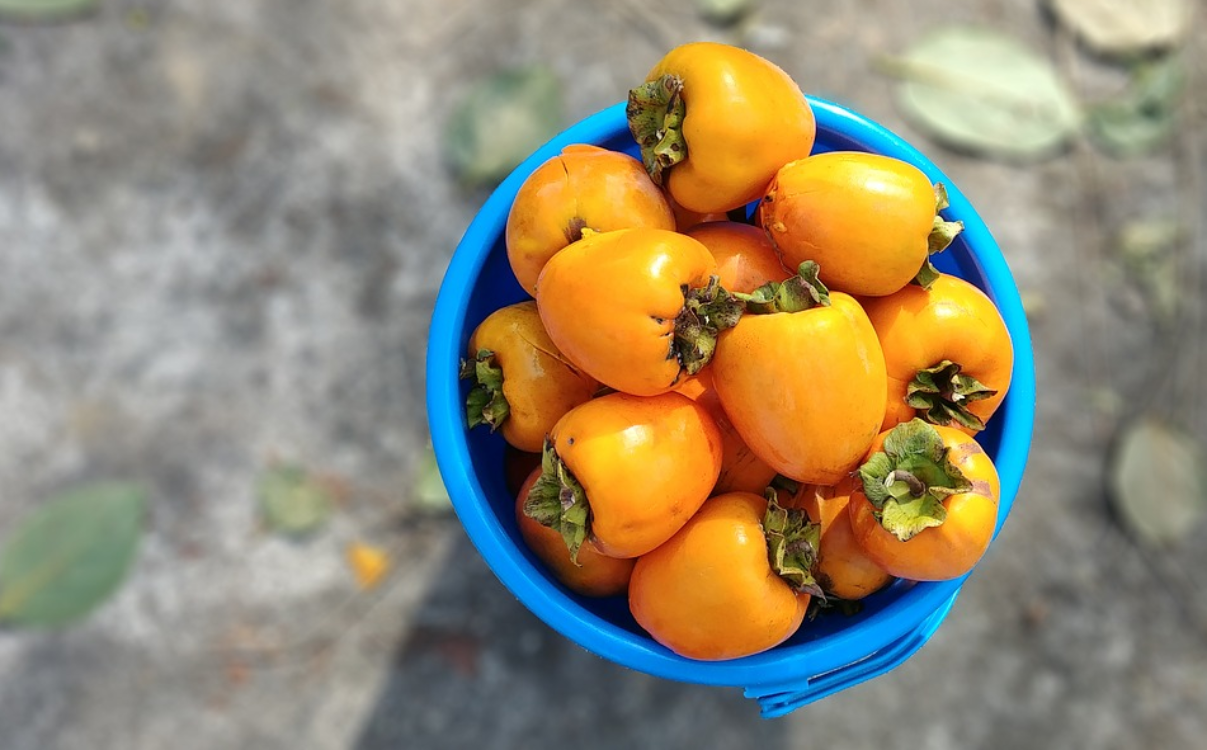 Dióspiro: um fruto do outono que está carregado de vantagens para a saúde!