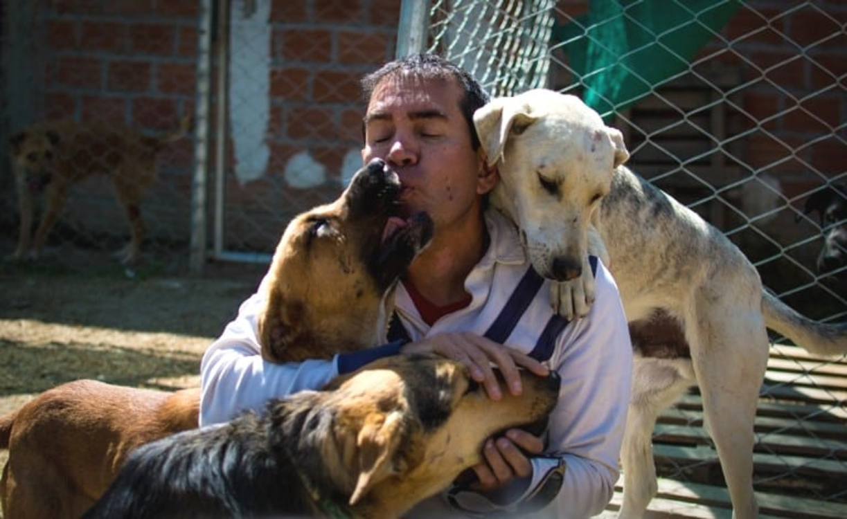 Engenheiro da Bolívia troca carreira promissora pela paixão de cuidar de cães abandonados!