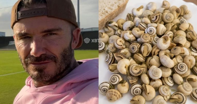 David Beckham adora caracóis: conheça este petisco!