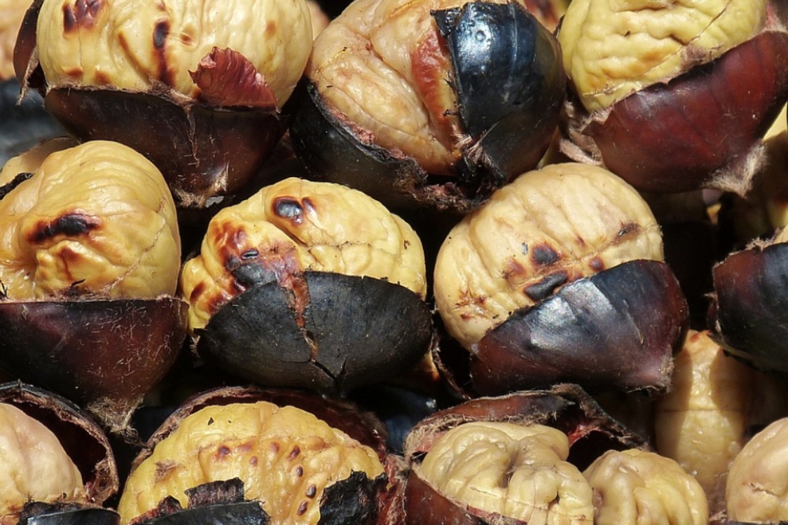 Castanhas assadas caseiras