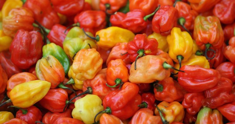 DÊ MAIS SABOR À VIDA