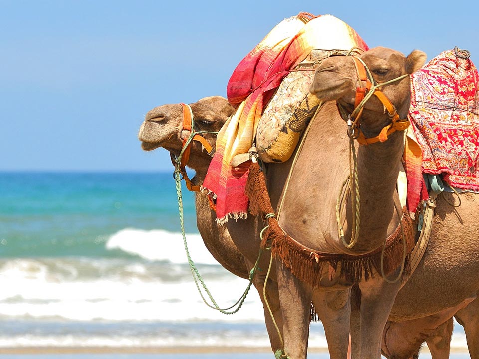 Férias, com tudo pago para 2 pessoas!