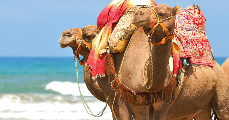 Quem vai de férias com tudo pago é…