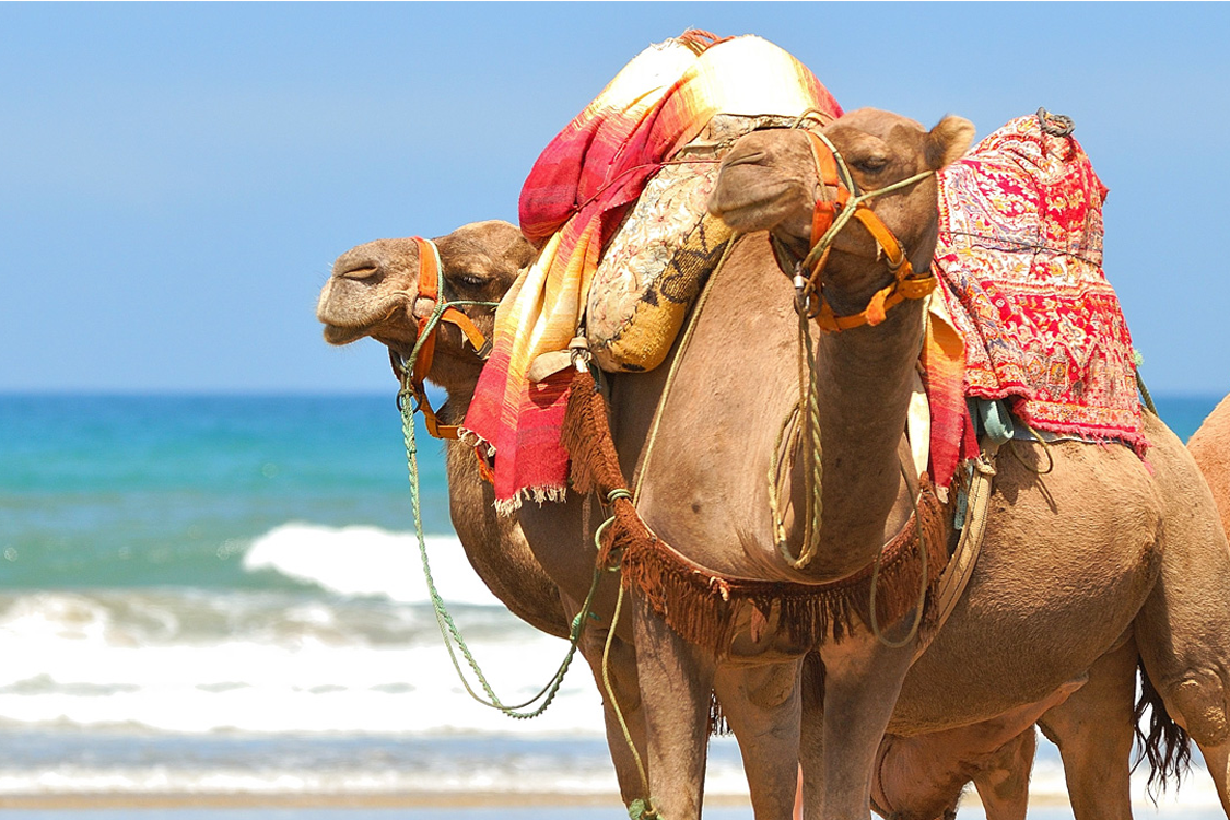 Quem vai de férias com tudo pago é…