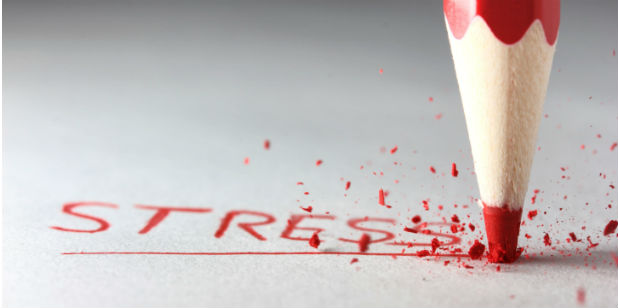 Alimentos que ajudam a reduzir o stress