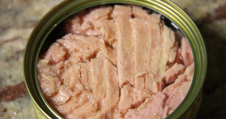 Receitas de atum. Esta conserva é uma iguaria