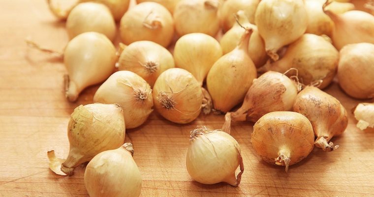 Uma sopa para perder peso