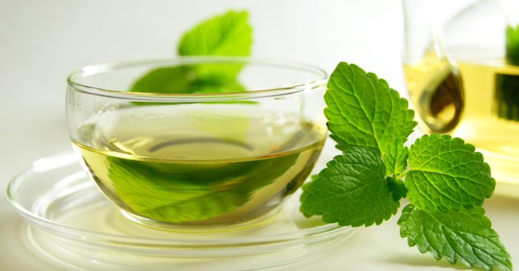 chás para dormir melhor