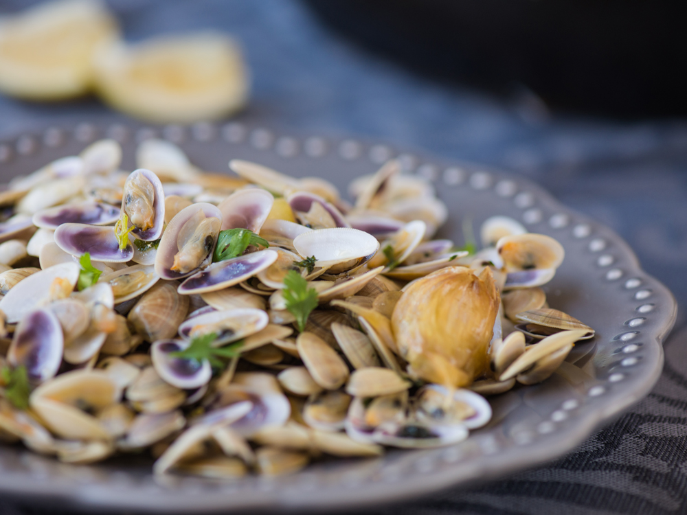 Receita de ameijoas à bulhão pato do Rodrigo Castelhano