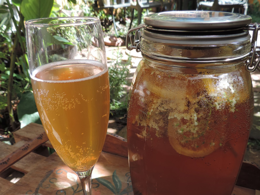 Já provou chá de Kombucha?