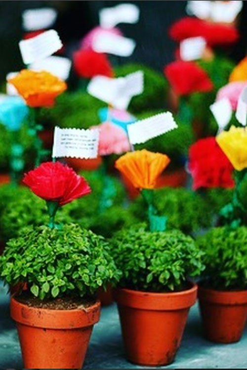 Hoje é a noite de Santo António: sardinha numa mão, copo na outra