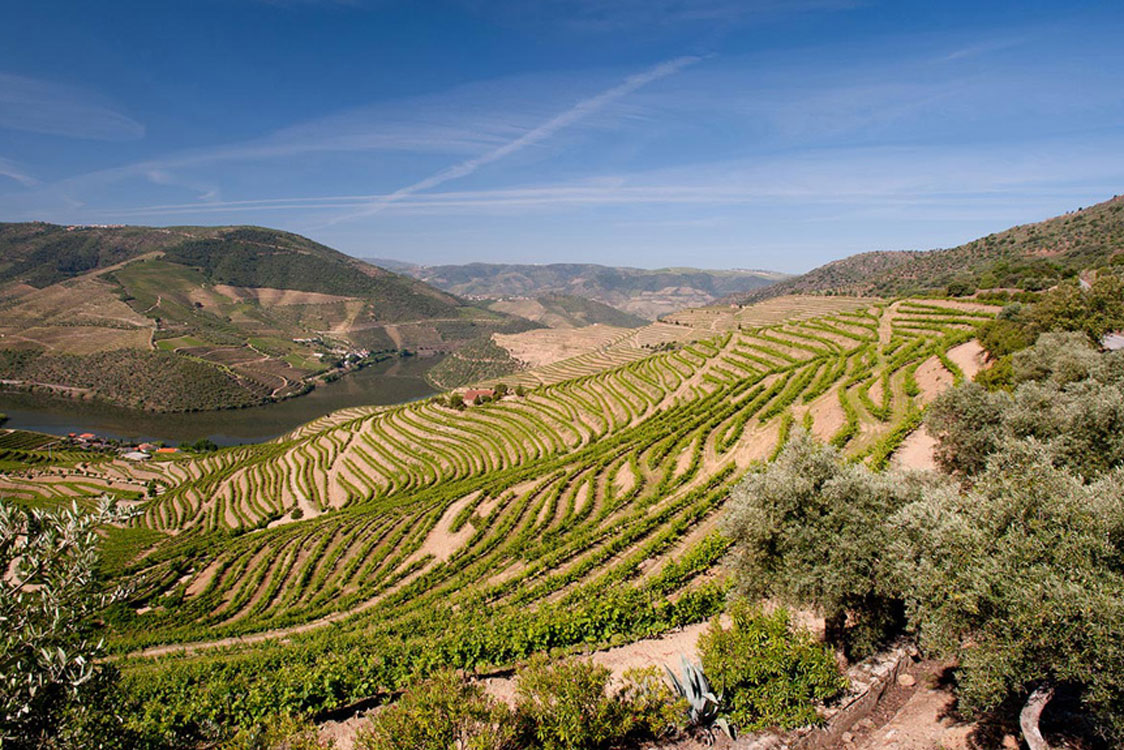 Visitas, caminhadas e degustação é com a Symington!