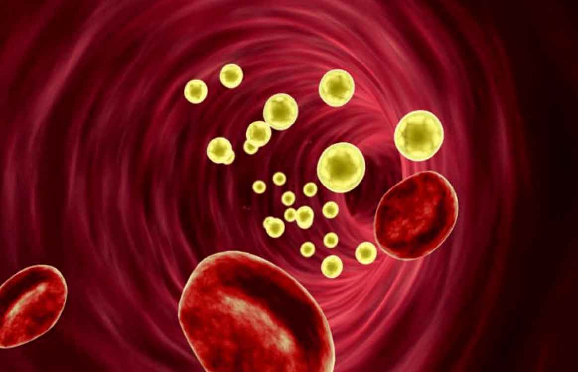 10 alimentos que ajudam mesmo a baixar o colesterol