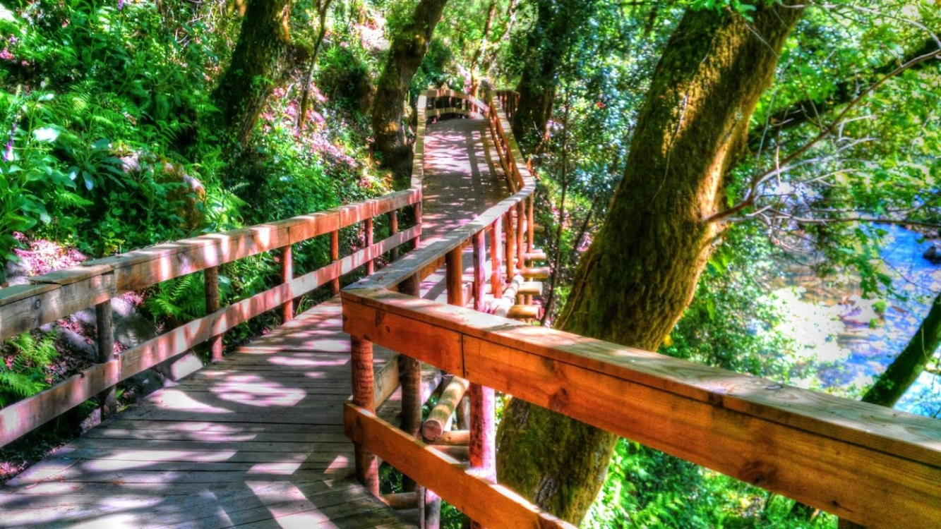 Gerês tem um lindo passadiço junto de cascatas… E poucos o conhecem…