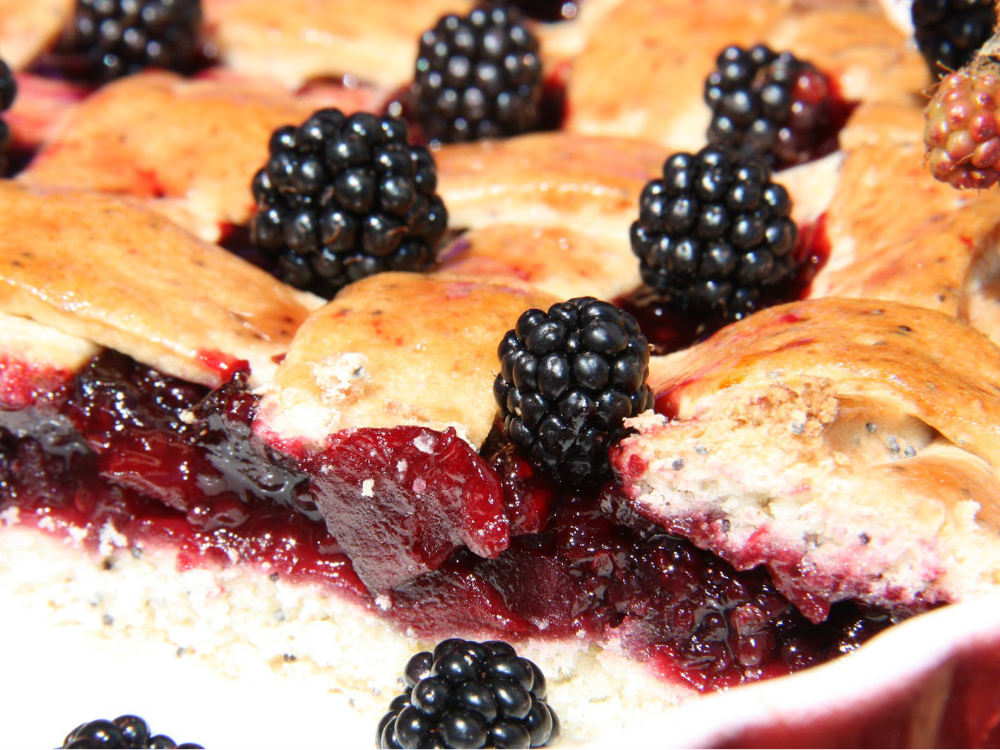 Receita de tarte de amora