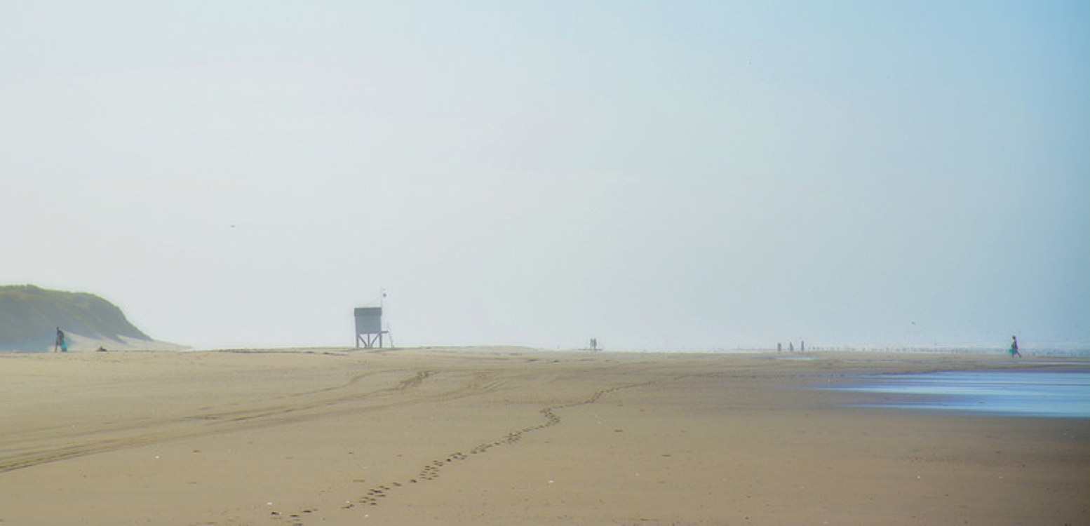 Holanda tem uma ilha fantástica com praia e mesmo ao pé de Amesterdão!