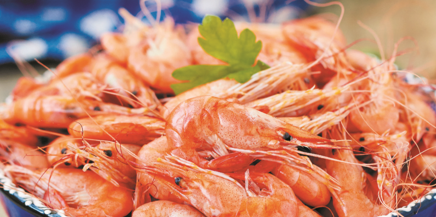 Receita de camarão cozido: para entrar com o pé direito na ceia de Natal!