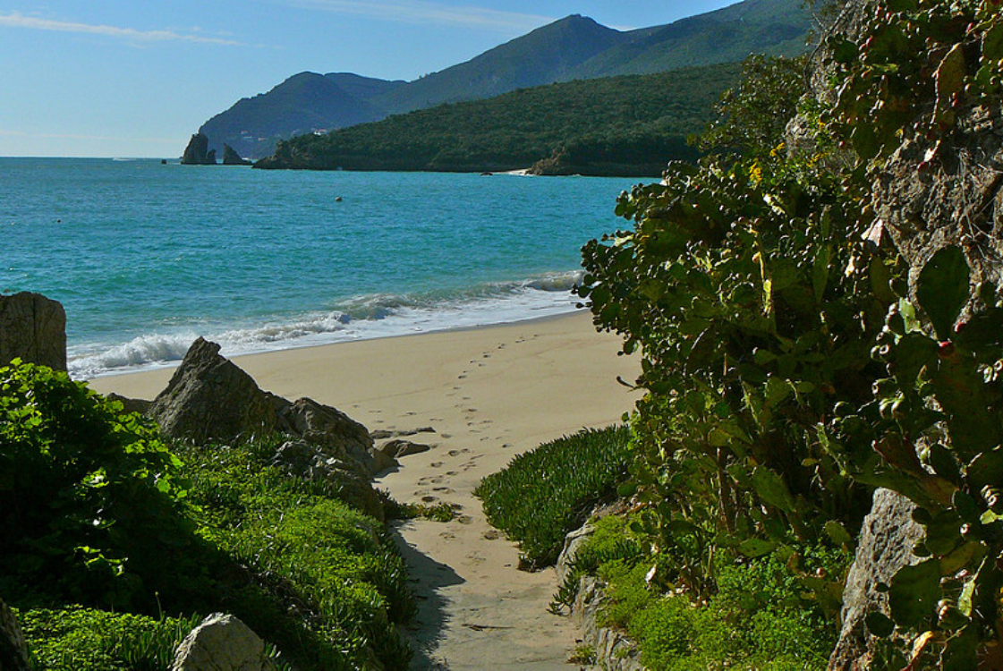 Faça esta caminhada fantástica na Arrábida!
