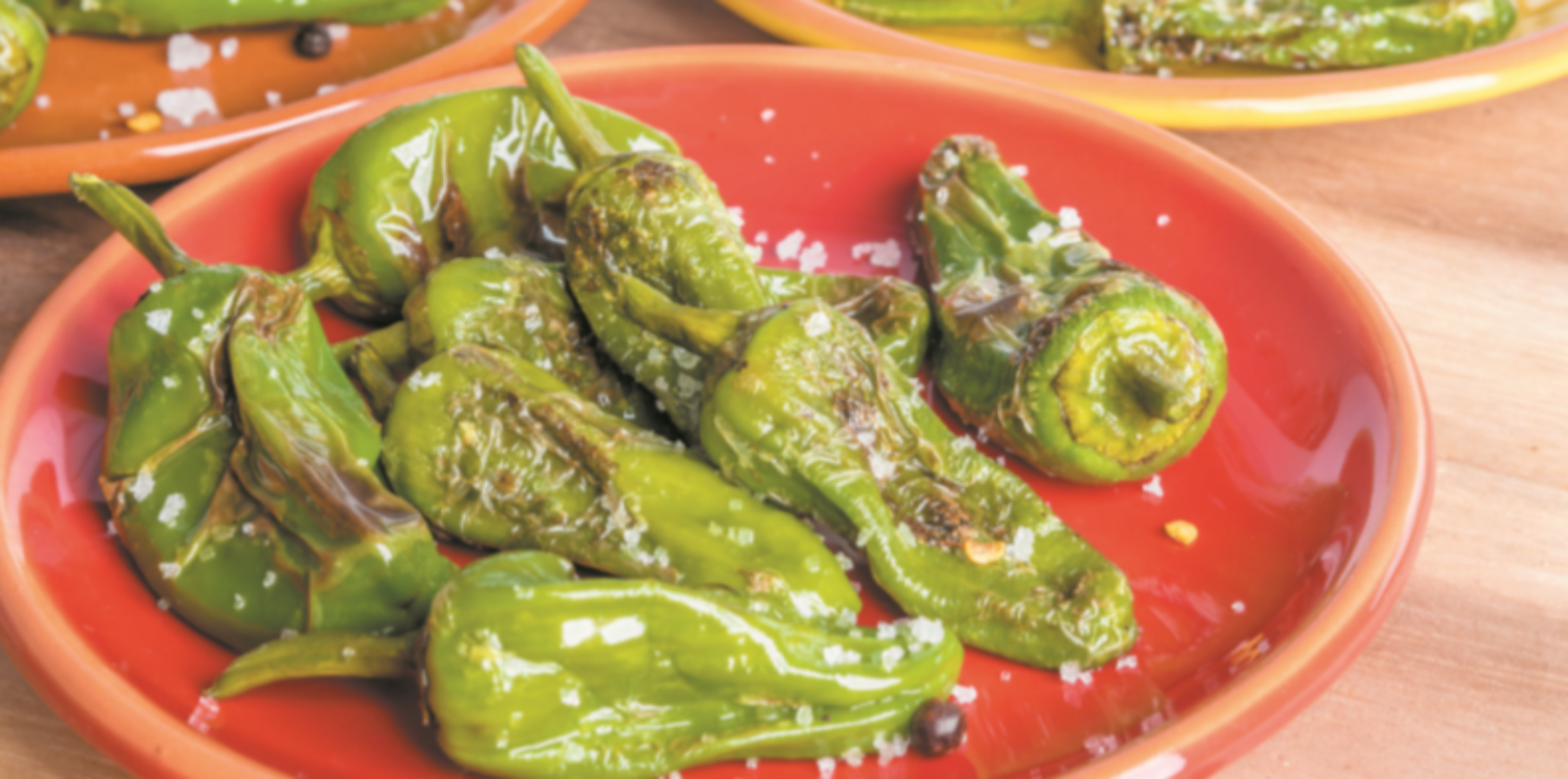 Pimentos padrón: um petisco de preparação rápida… e que é delicioso!