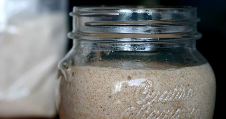 Massa mãe: um fermento caseiro, natural e saudável para fazer o seu pão!