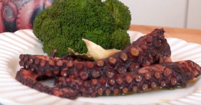 Polvo à minha moda: esta é a receita por que tanto procurava!
