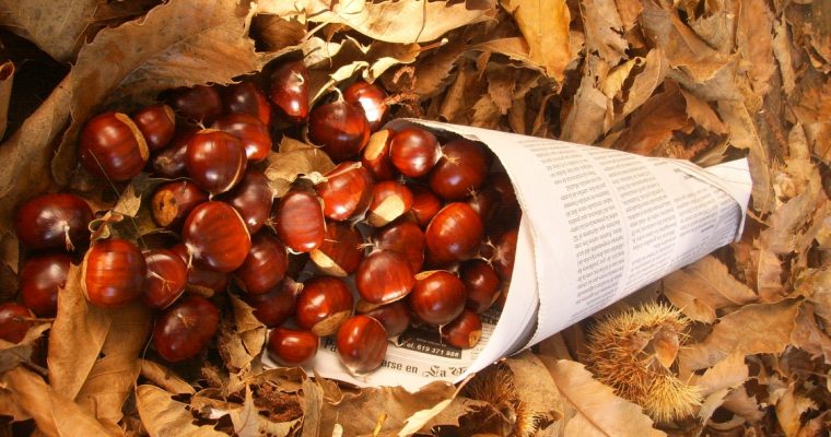 Hoje é Dia de São Martinho! Conheça estas 5 receitas com castanhas!