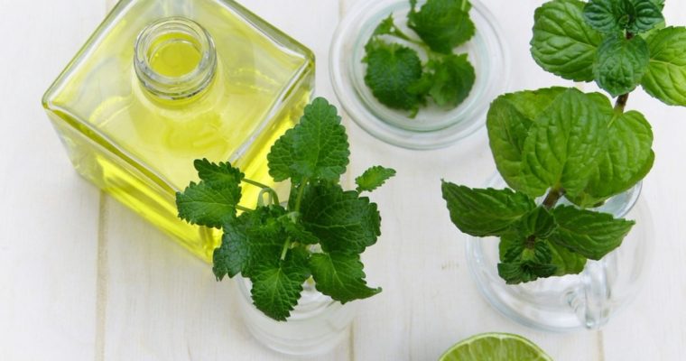 Conheça um truque caseiro e natural para afastar insetos!