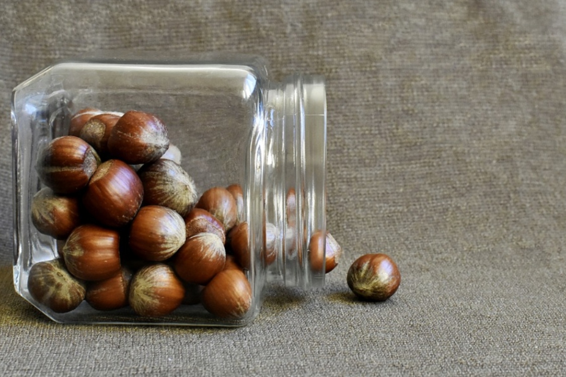 Em 2021, prove mais avelãs! Descubra porquê!