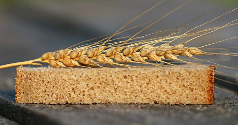 Sanduíche muito saudável: como preparar? Siga estas três dicas!