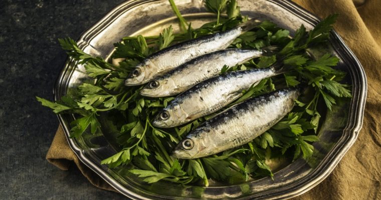 Descubra três curiosidades sobre sardinhas que quase ninguém conhece!