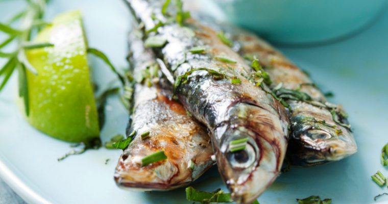 Sardinhas assadas no forno