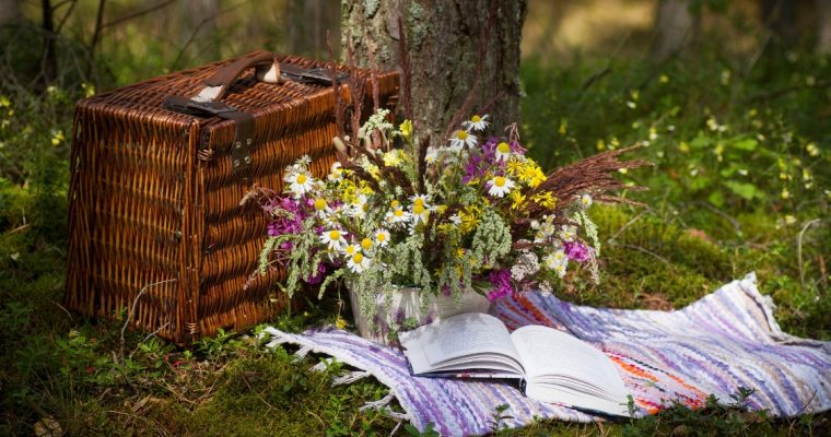 Piquenique de verão: estes são os melhores alimentos!