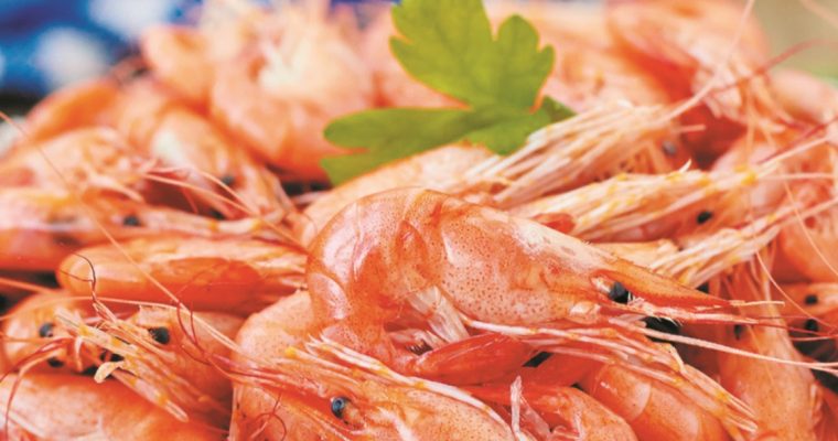 Receita de camarão cozido: para entrar com o pé direito na ceia de Natal!