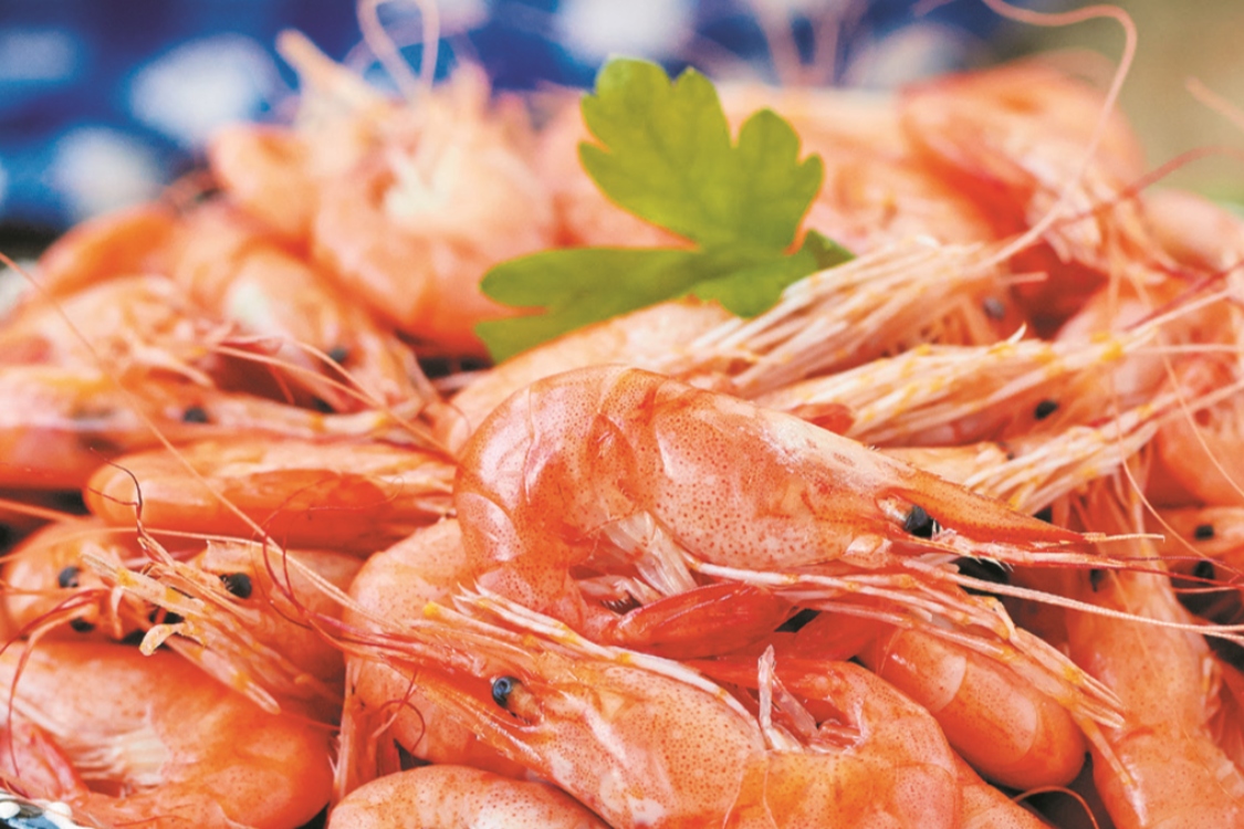 Receita de camarão cozido: para entrar com o pé direito na ceia de Natal!