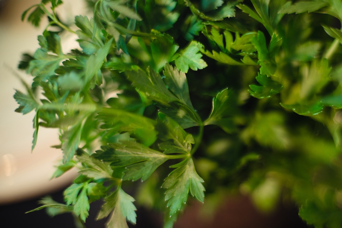 esparguete à bolonhesa