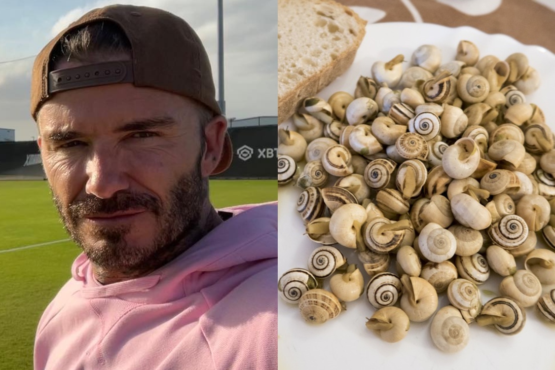 David Beckham adora caracóis: conheça este petisco!