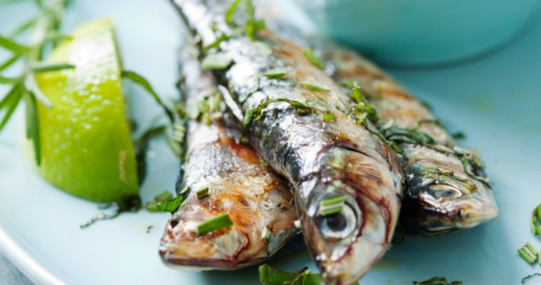 Sardinhas assadas no forno